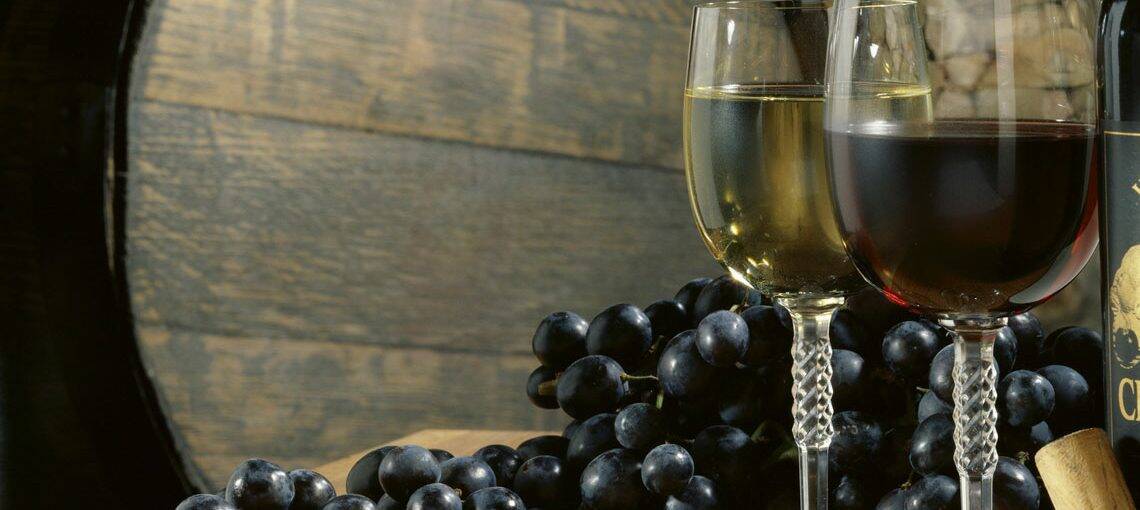 Anti-cancer merits of grapes worth a toast 1 GrapesWine Thinkstock