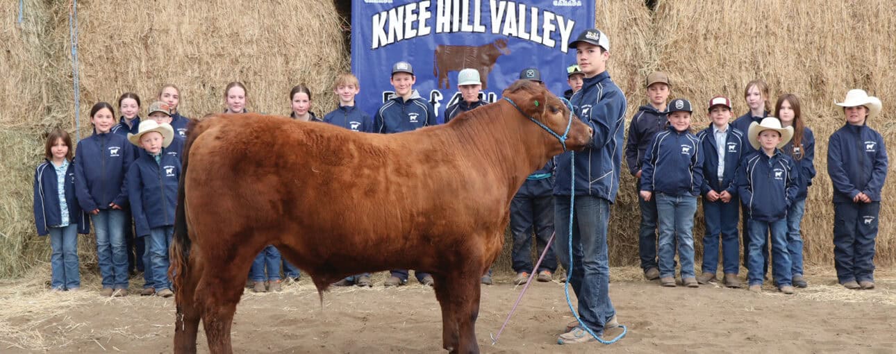 Youth from the 4-H Beef Club stand behind a brown cow.
