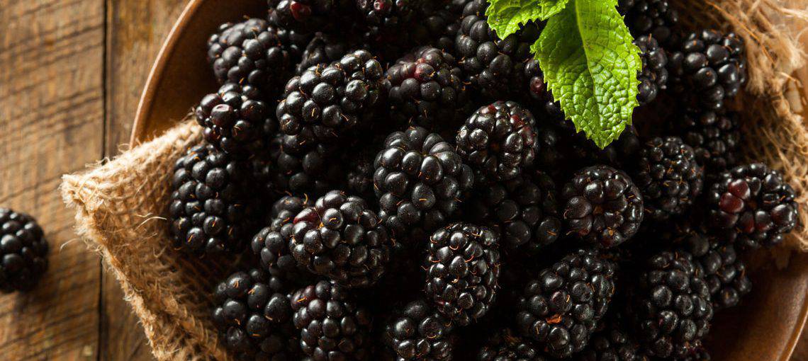 Top 10 Summer Foods 4 LEAP Berries