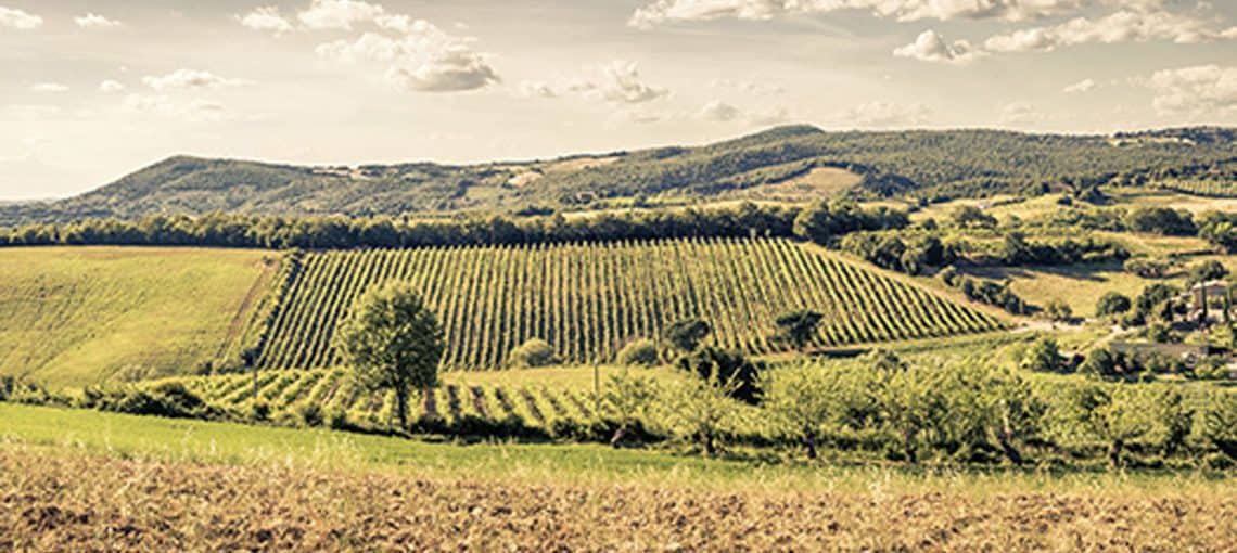 It's All Greek to Her 3 LEap Greek