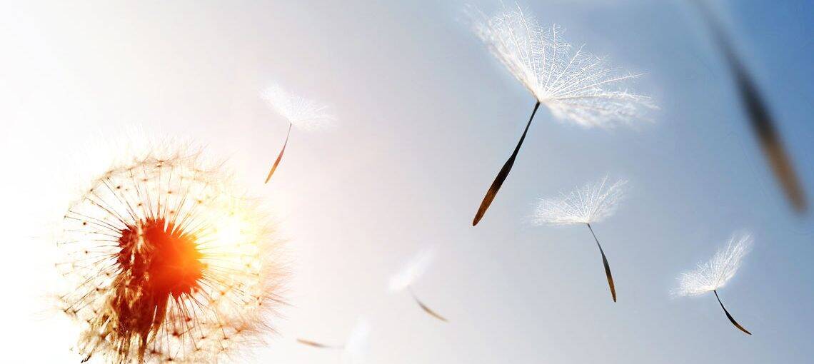 Leap iStock 1152402055