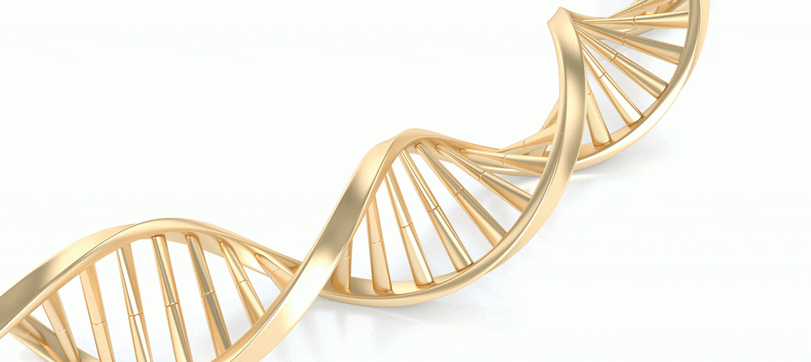 4 Ways Your Donation Helps to Reduce Risk and Detect Cancer Earlier 5 TomorrowProject 4Ways Fall2018