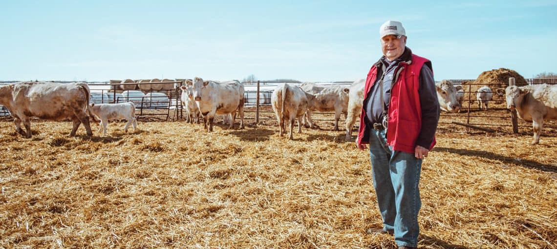 How Rural Albertans Helped Raise $181,890 for the Cross Cancer Institute 6 Web LeapSp19 Calves FrontLine
