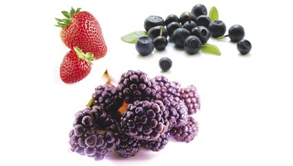 prevention2 prevention21