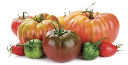 prevention3 prevention3